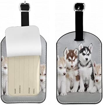 Zoczos Cute Husky Puppy Travel Bag Tag Furry Pet Animal PU Leather Name ID Labels with Privacy Cover for Men Women Boys Girls Suitcase, 1 Pack