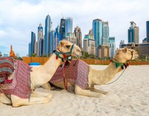 Best Time to Visit Dubai – Weather, Seasons & Travel Tips