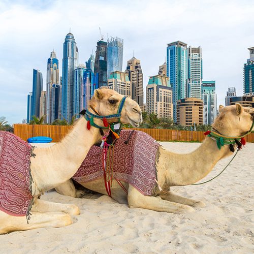 Best Time to Visit Dubai β Weather, Seasons & Travel Tips