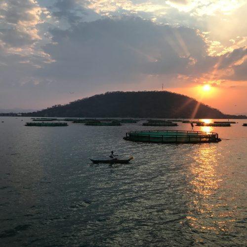 Cheap Flights to Malawi from South Africa β How to Find the Best Deals